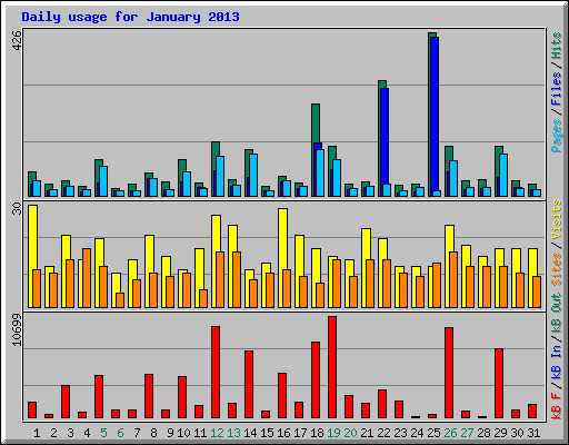 Daily usage for January 2013