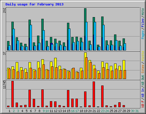 Daily usage for February 2013