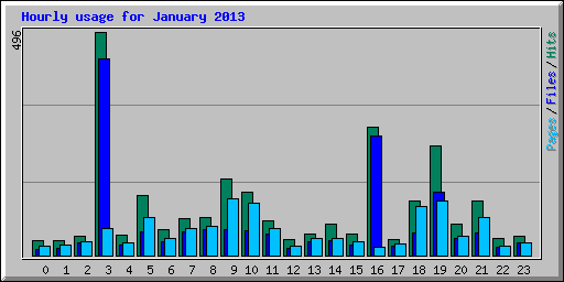 Hourly usage for January 2013