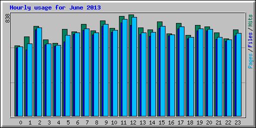 Hourly usage for June 2013