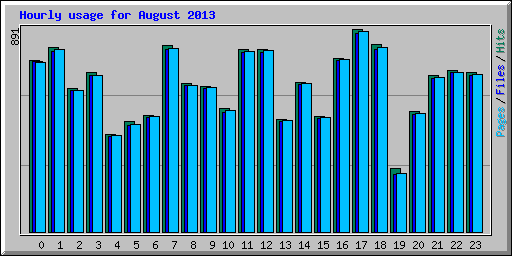 Hourly usage for August 2013